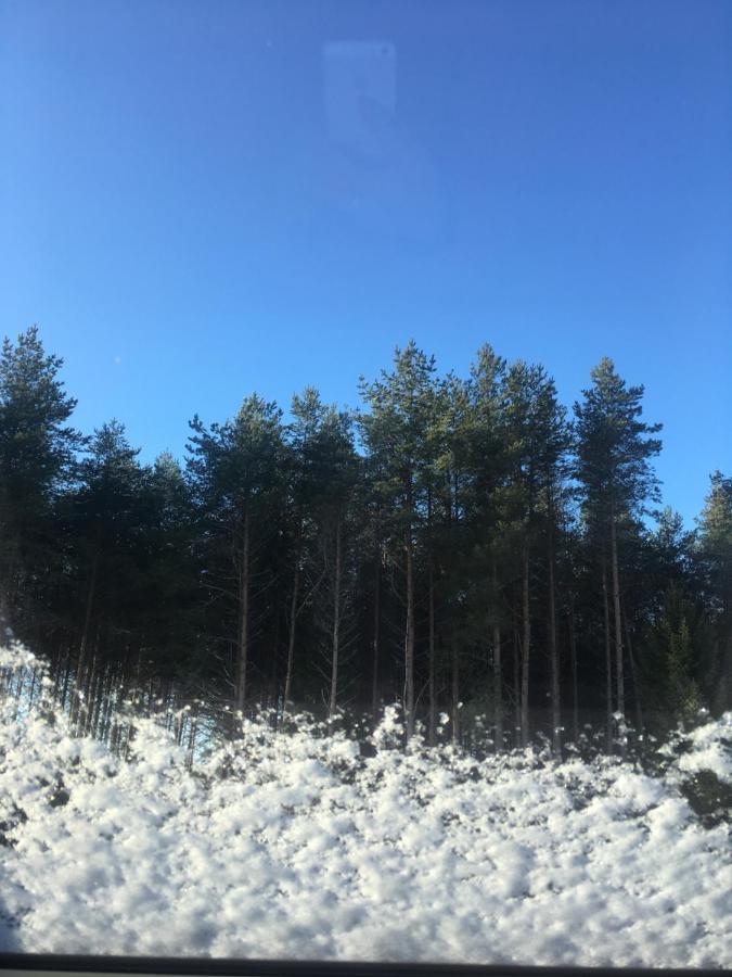 Kaeaenu Puhkemaja Villa Rakvere Exteriör bild
